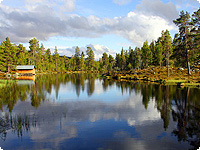 saunahaus, haus, schweden, skandinavien