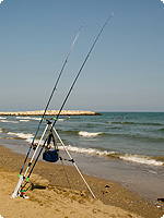 strand, nordsee, ostsee, daenemark, skandinavien