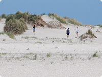 Die riesigen Dünen auf Rømø duenen, insel roem