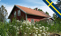 ferienhaus, schweden, wald