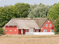 reetdachhaus, insel roem