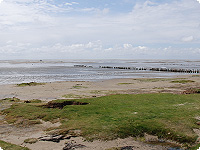Nationalpark Wattenmeer wattenmeer, insel roem